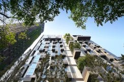 Ashton Morph 38 Building